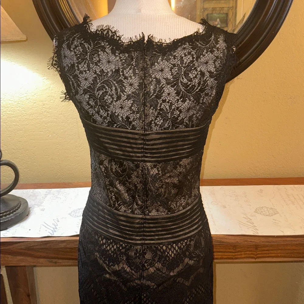 Tadashi Shoji Eyelash Lace Dress - Picture 6 of 9